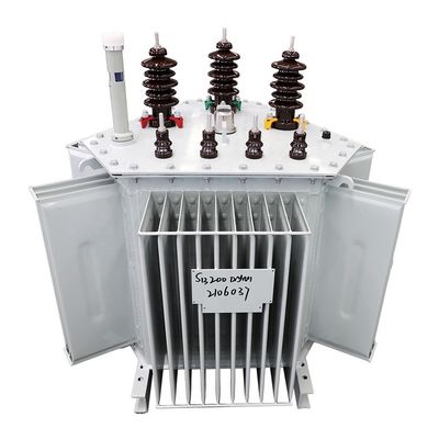 300 kva 3 fase 11kv/0.4kv Transformatore di potenza 400kv pieno di olio con frequenza 50/60Hz