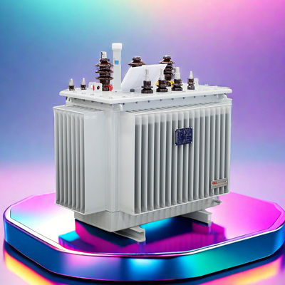 100kva 125kva 160kva 400kva 2500kva 6kv 6.3kv 0.48kv TOROIDAL Trasformatore immerso in olio